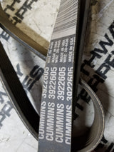 CUMMINS BELT 3922605