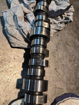 POLISHED 6.5L / 6.2L Diesel Camshaft - No core needed 14066308