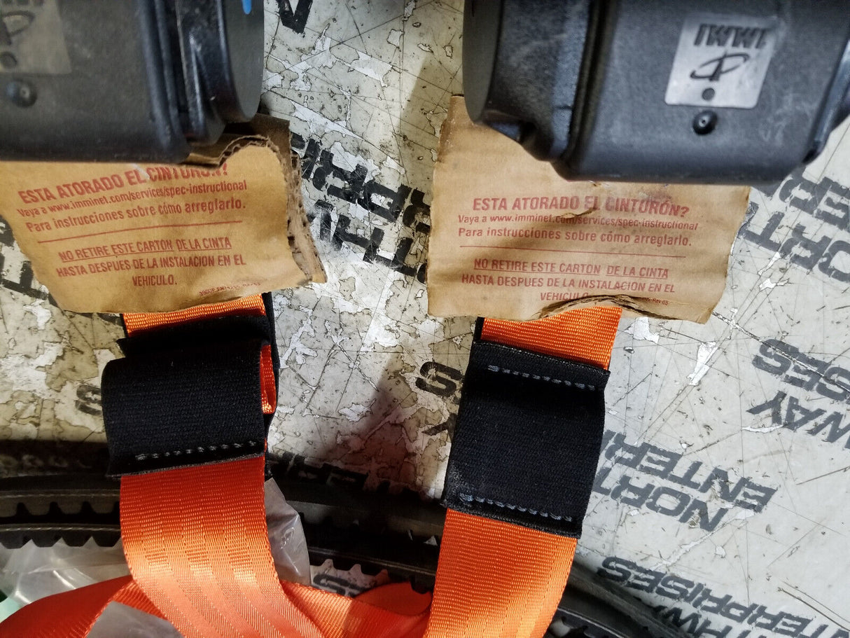 552-8380: Seatbelt - 4 Pt Harness - Premium