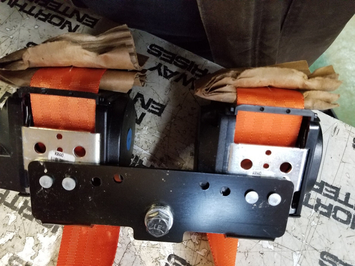 552-8380: Seatbelt - 4 Pt Harness - Premium