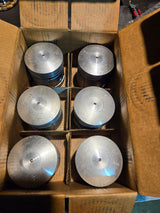 L1018-6.030 L1018 Egge Piston Set with Pins - L1018-6 .030