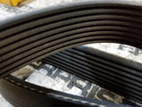 331-9604 Serpentine Belt 3319604
