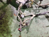 6.4 Powerstroke Turbo Diesel 6.4L International A350 Engine Harness 1876436 C2