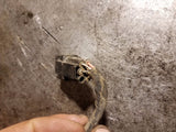 07-10 2007 -2010 6.6L Duramax Engine Wire Harness Pigtail 5 Wire 5 Pin