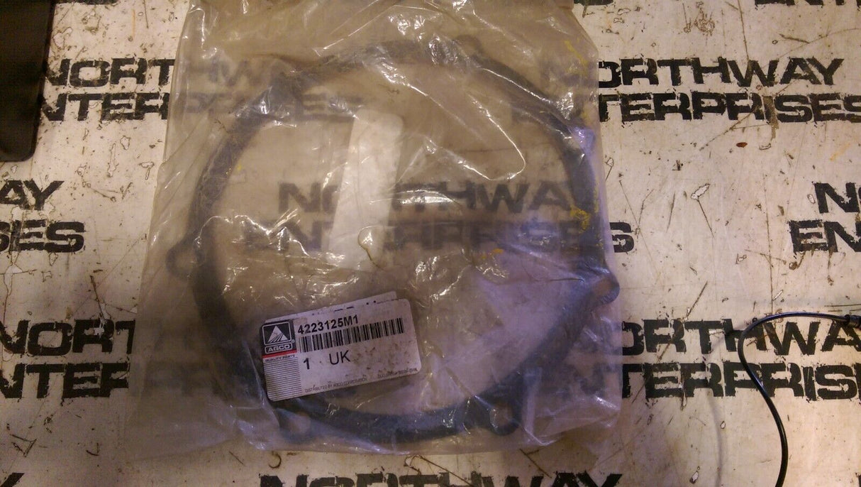 CNH 4223125M1 SEAL