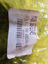 Seal Kit For 4900166.004 Bm (Manitex Part # 6609345)