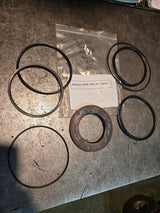 6609371 MANITEX PM SEAL KIT (MISSING SEALS)