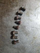 03-07 5.9L Cummins Flexplate Bolts
