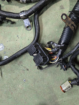 3963705 3964635 CUMMINS ENGINE HANESSES