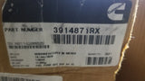 NEW/REMAN 3914871RX - Cummins Fuel Injection Pump