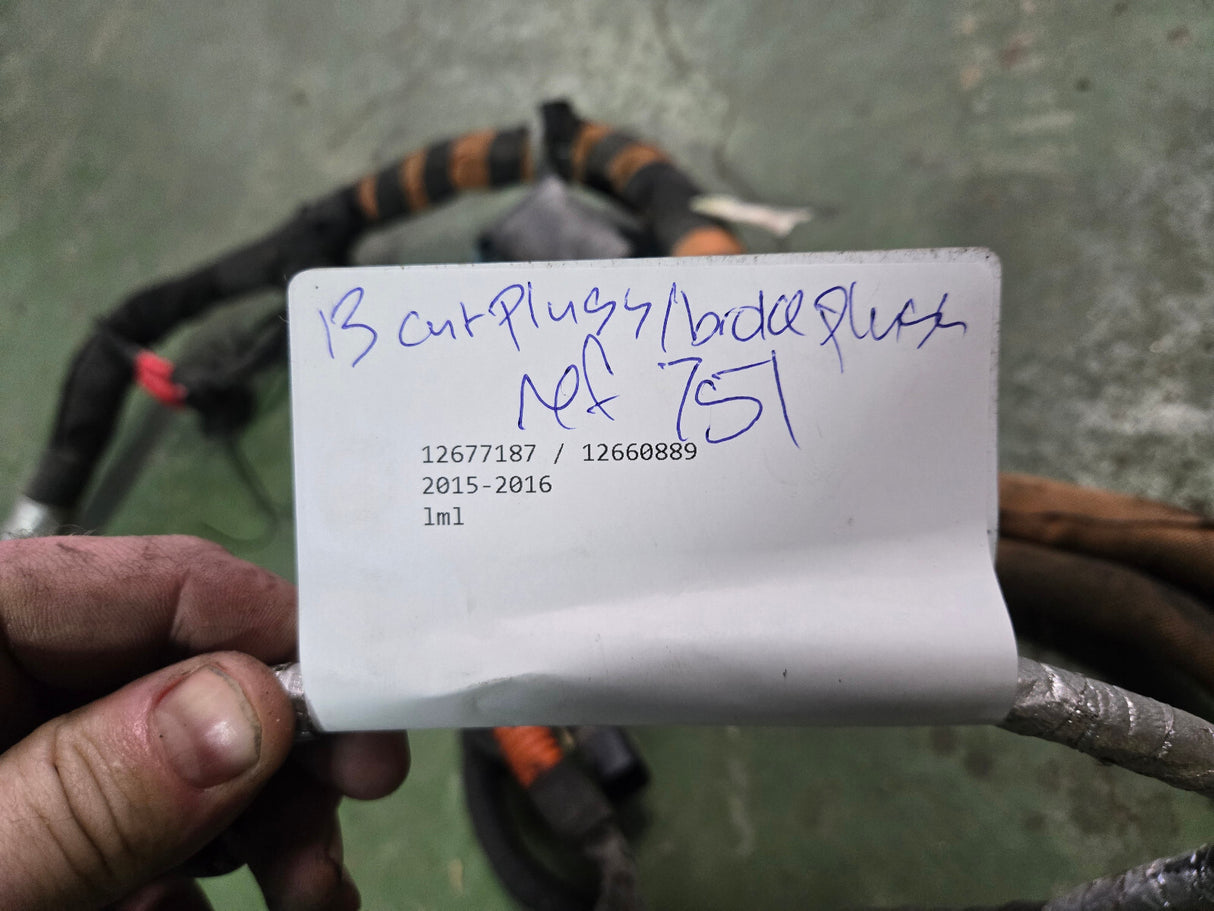 2015/16 LML 12677187 / 12660889 ENGINE HARNESS REF 751
