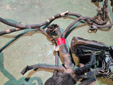 97301437 LB7 Duramax Engine Harness 897301437 2003-2004 LB7