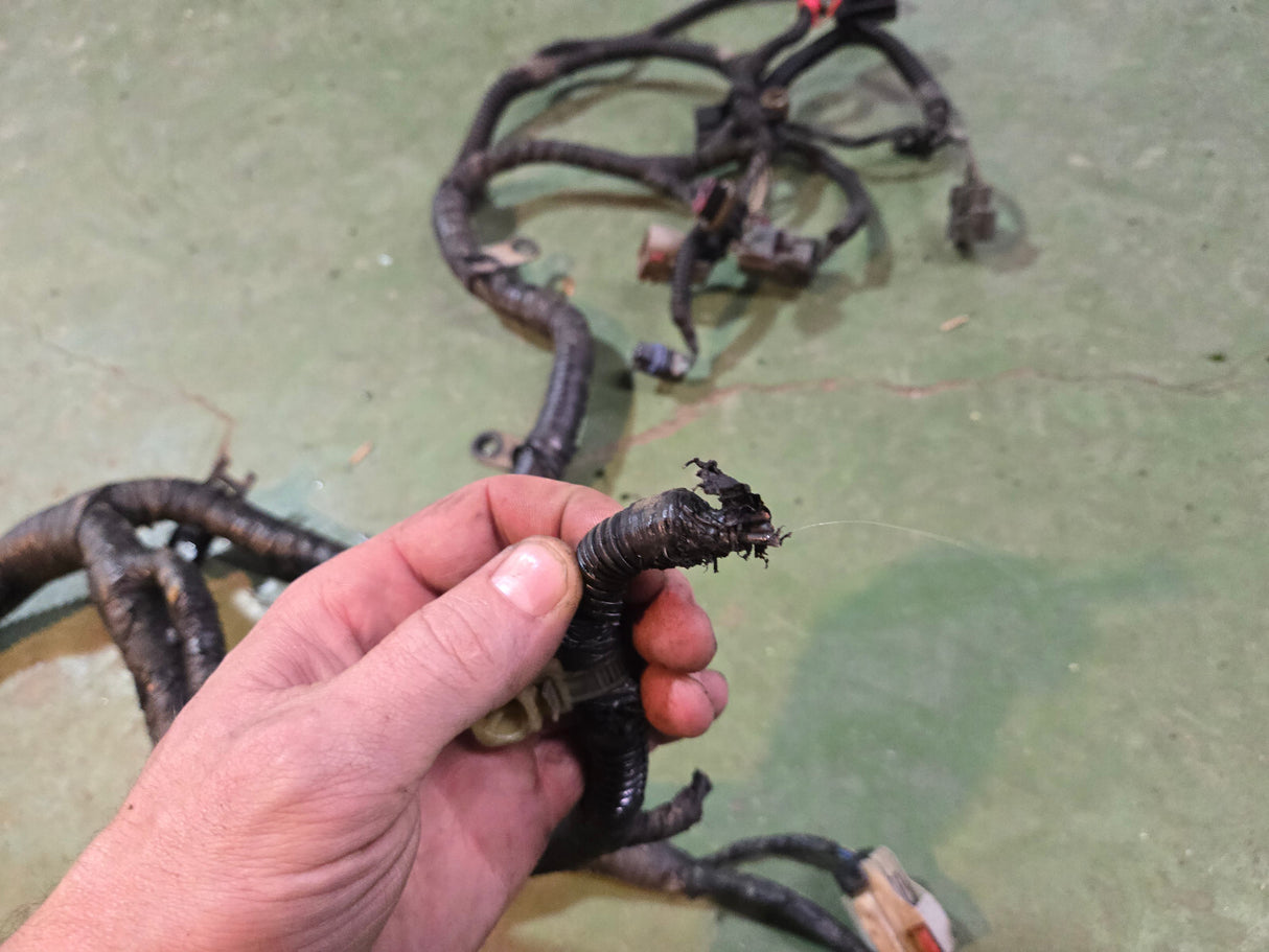 2012 CUMMINS WIRE HARNESS 5274849 MOPAR 68145661AB