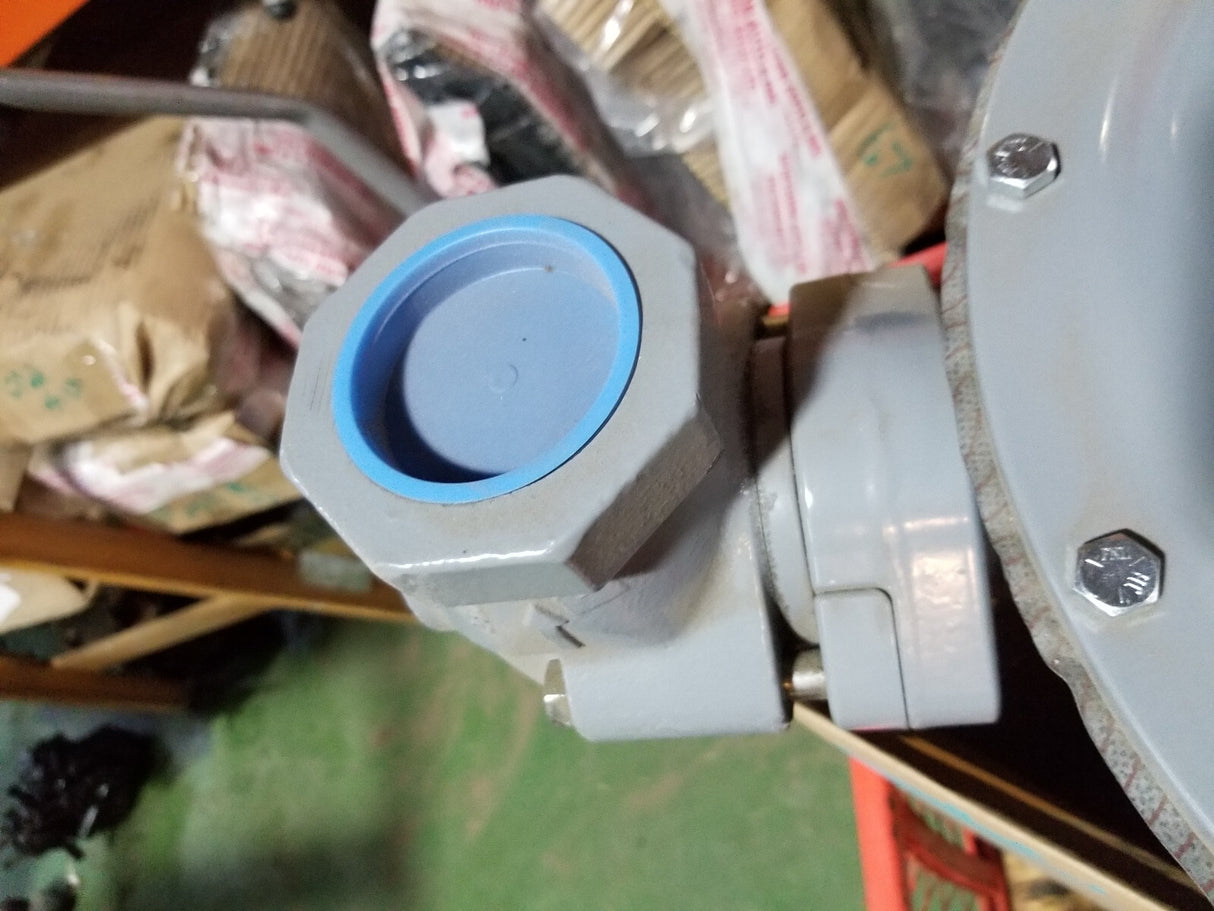 Fisher S202 PRESSURE REDUCING VALVE 3/4" PORT W/ MANUAL
