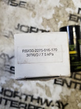 DONALDSON INFORMER RBX00-2275-016-170 / RBX002275016170 , 30''H2O/7.5KPA