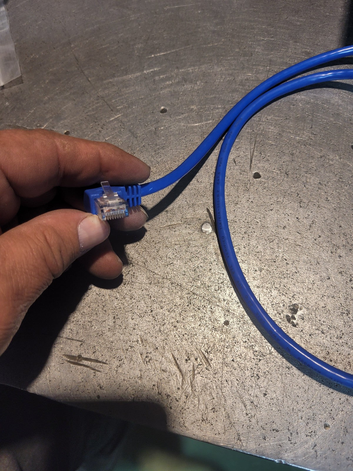 TRIPP LITE N204-003-BL-RA / N204003BLRA (BRAND NEW)