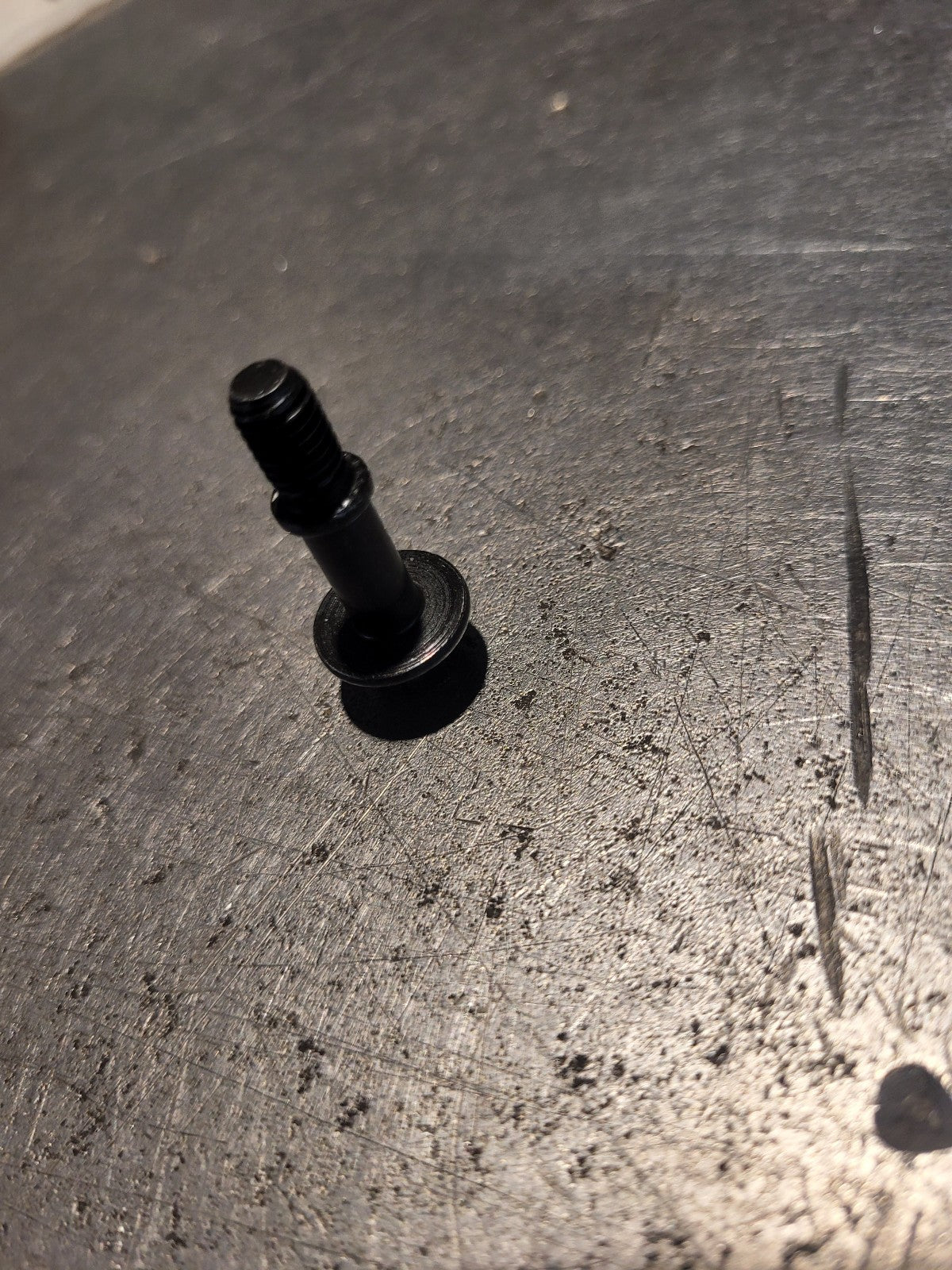 Cummins Shoulder Cap Screw - 3683919