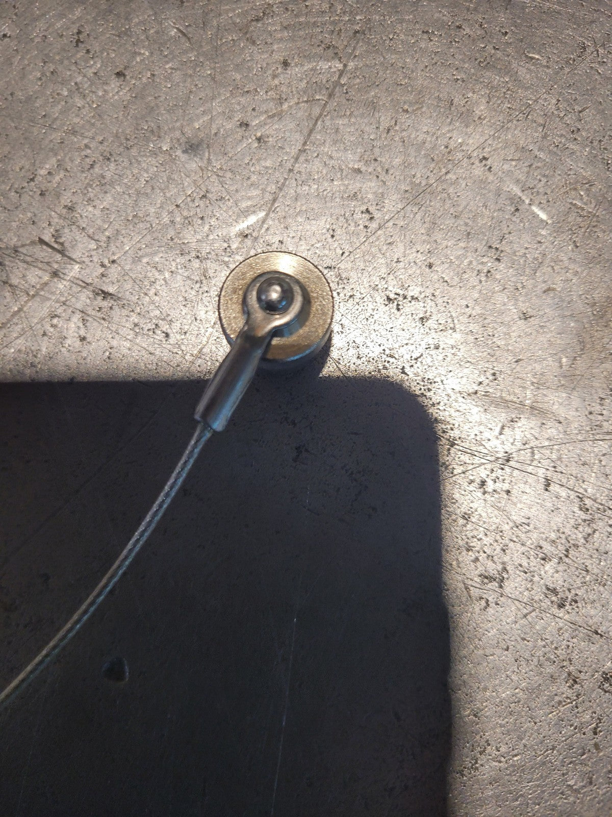 New Turck FK-CC Dust Cap