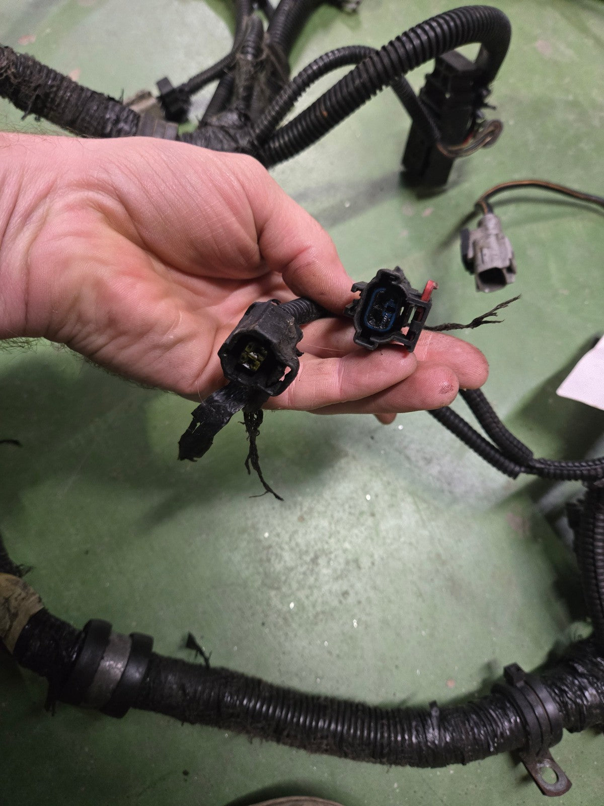 3947682 2001-2002 Dodge Ram Cummins Diesel ENGINE WIRING HARNESS