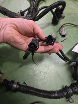 3947682 2001-2002 Dodge Ram Cummins Diesel ENGINE WIRING HARNESS