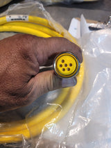 Turck RSM RKM 66-2M Cordset, 7/8-16UN Male Straight to Female Str, 6 Wire, 2m