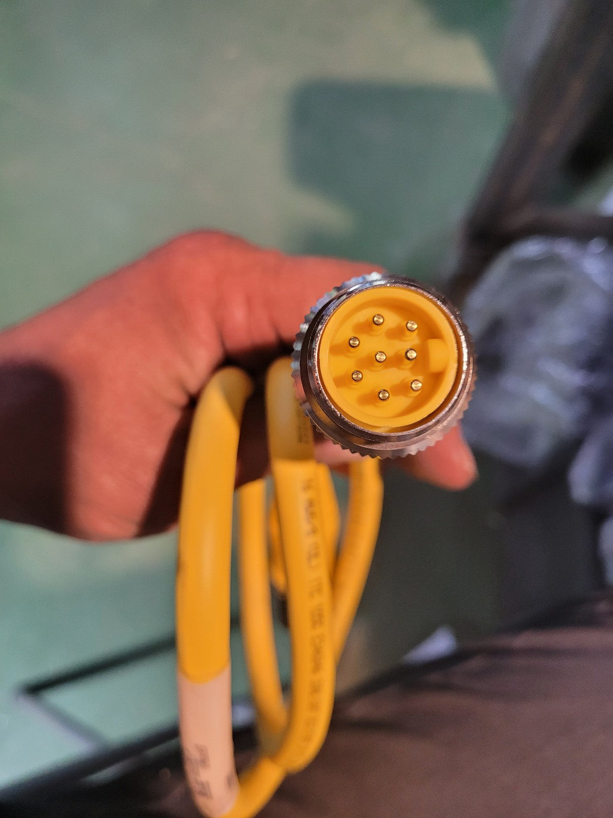 Turck RSM RKM 86-1M Cordset, 7/8-16 Male Straight, 8 Wire, 1m, PVC, Yellow