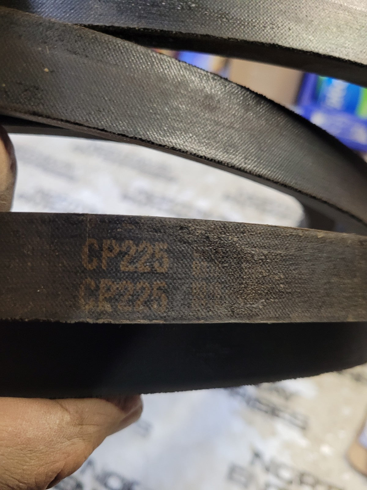 CP225 CARLISLE BELT 229" x 0.875" x 0.625"