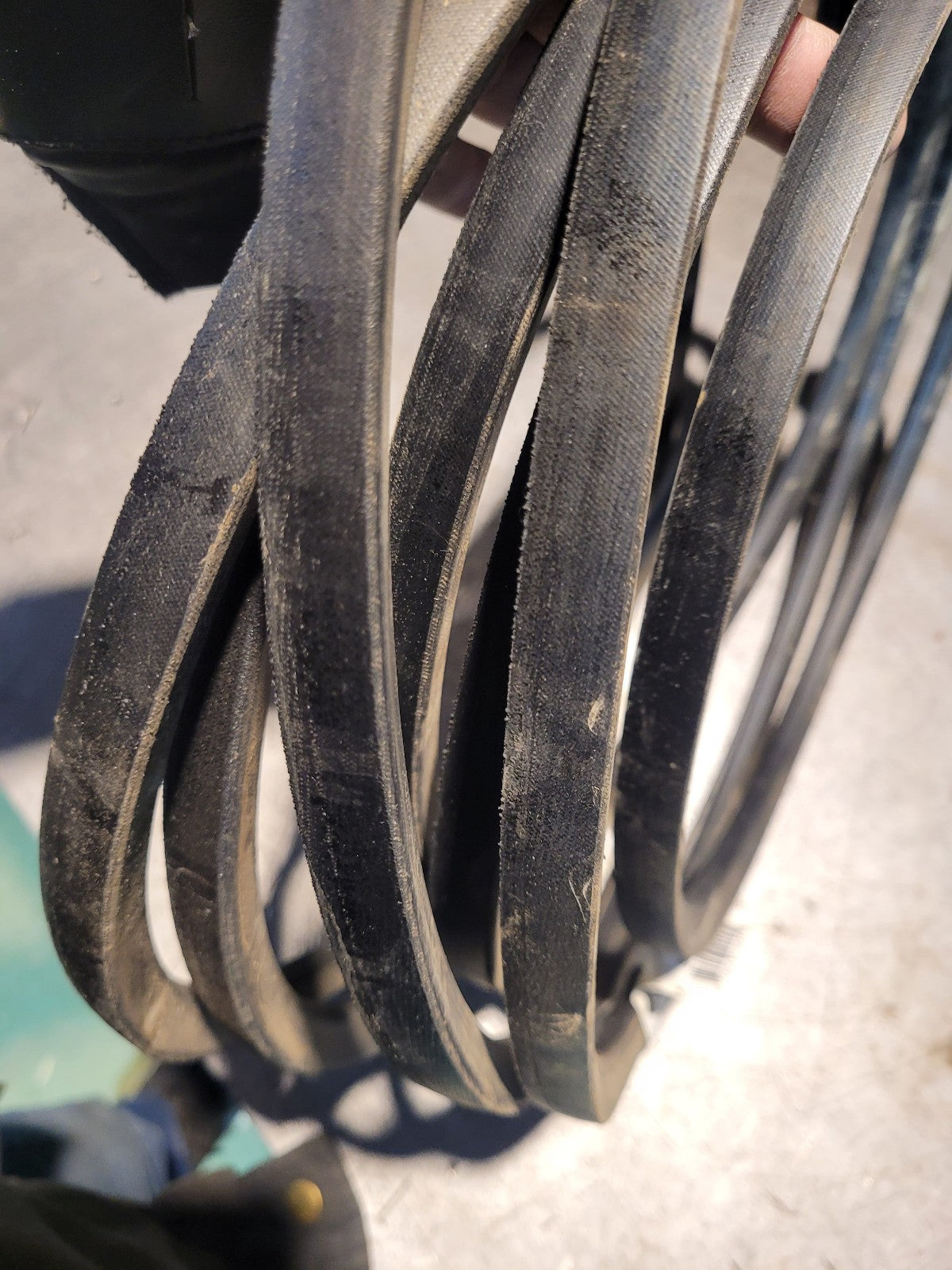 NEW 5V3000 GATES BELT 5/8 in Top Width, 1 Strand, 300 in OD