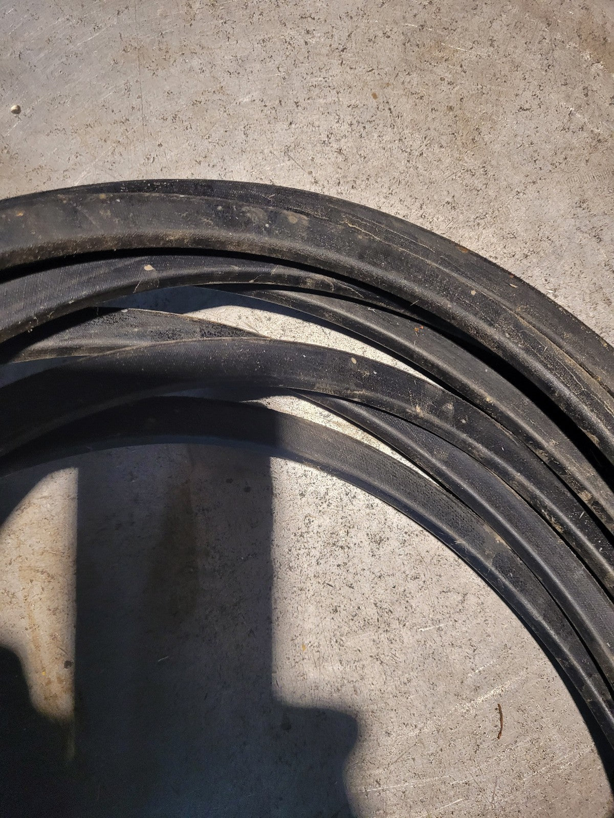 NEW 5V3000 GATES BELT 5/8 in Top Width, 1 Strand, 300 in OD