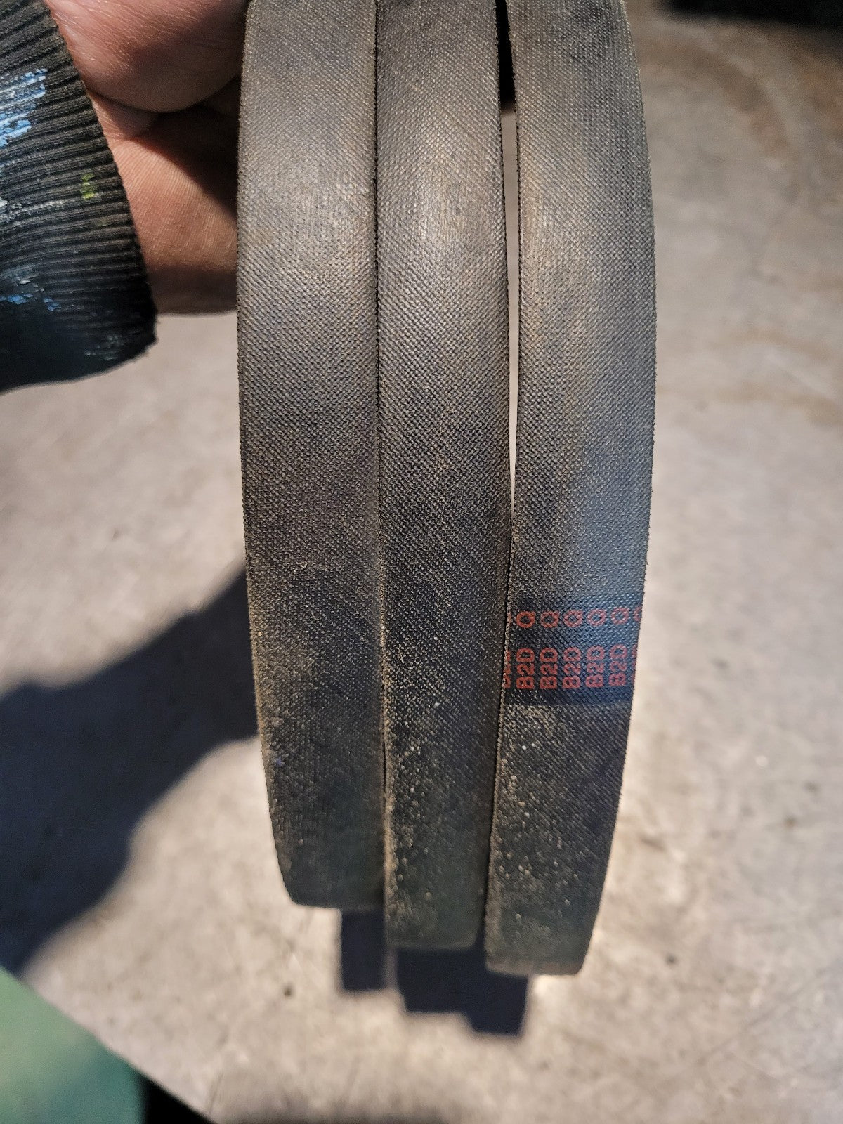 NEW C102 JASON BELT 7/8 in Top Width, 1 Strand, 106 in OD