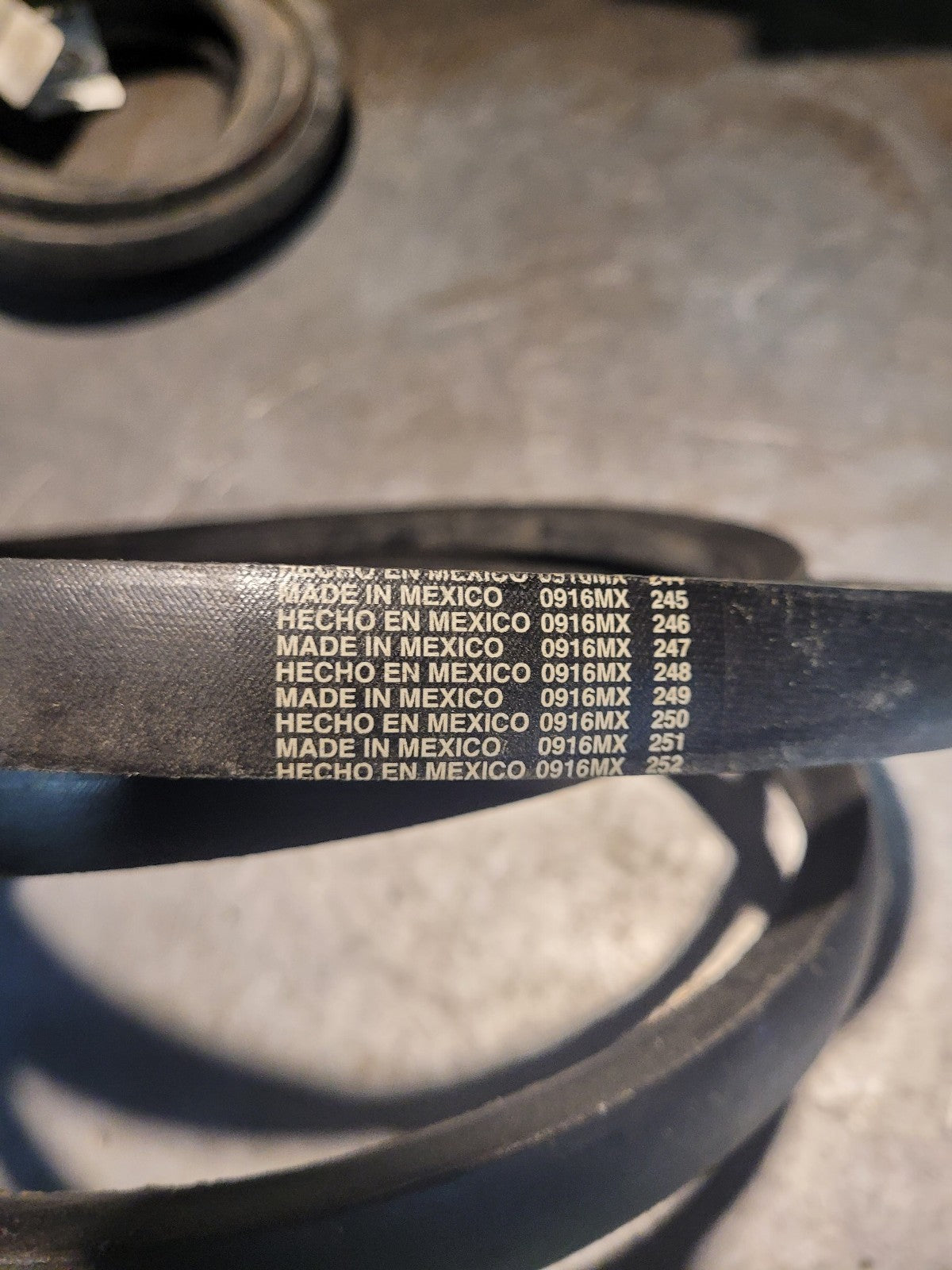 New C115 GATES BELT  7/8 in Top Width, 1 Strand, 119 in