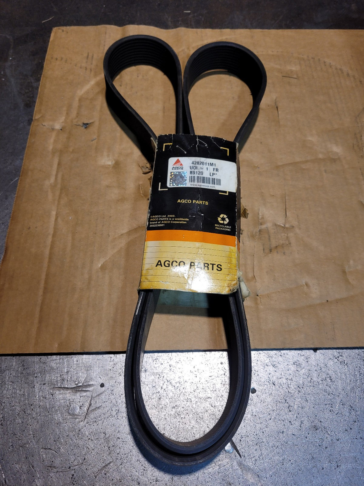 10 RIB Belt 1830mm - 4282011M1 for Massey Ferguson Tractors