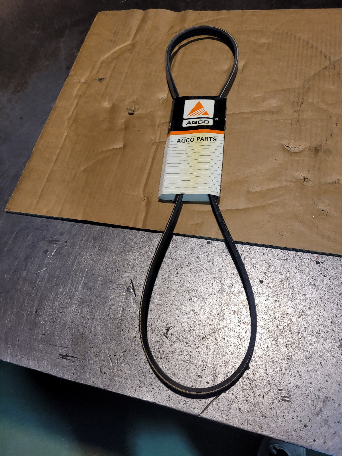Massey Ferguson - Fan Belt - 4273269M1 1150mm