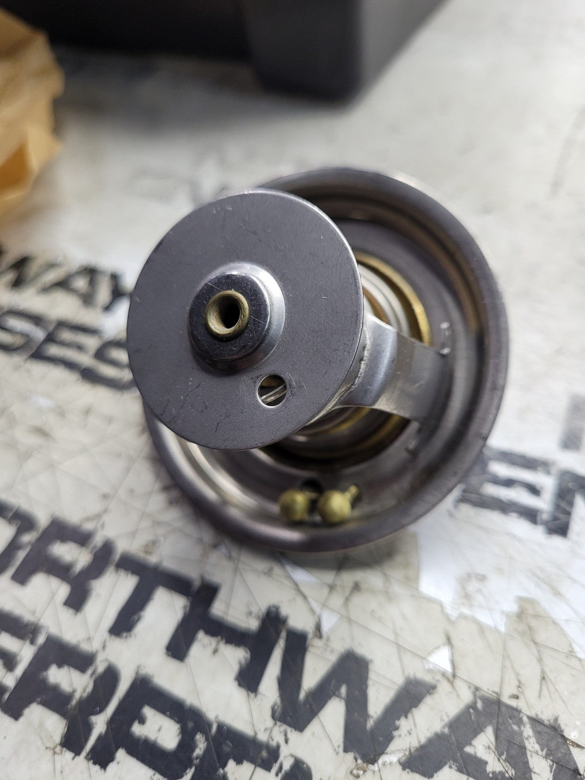 4224624M1 AGCO THERMOSTAT