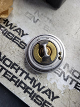 4224624M1 AGCO THERMOSTAT