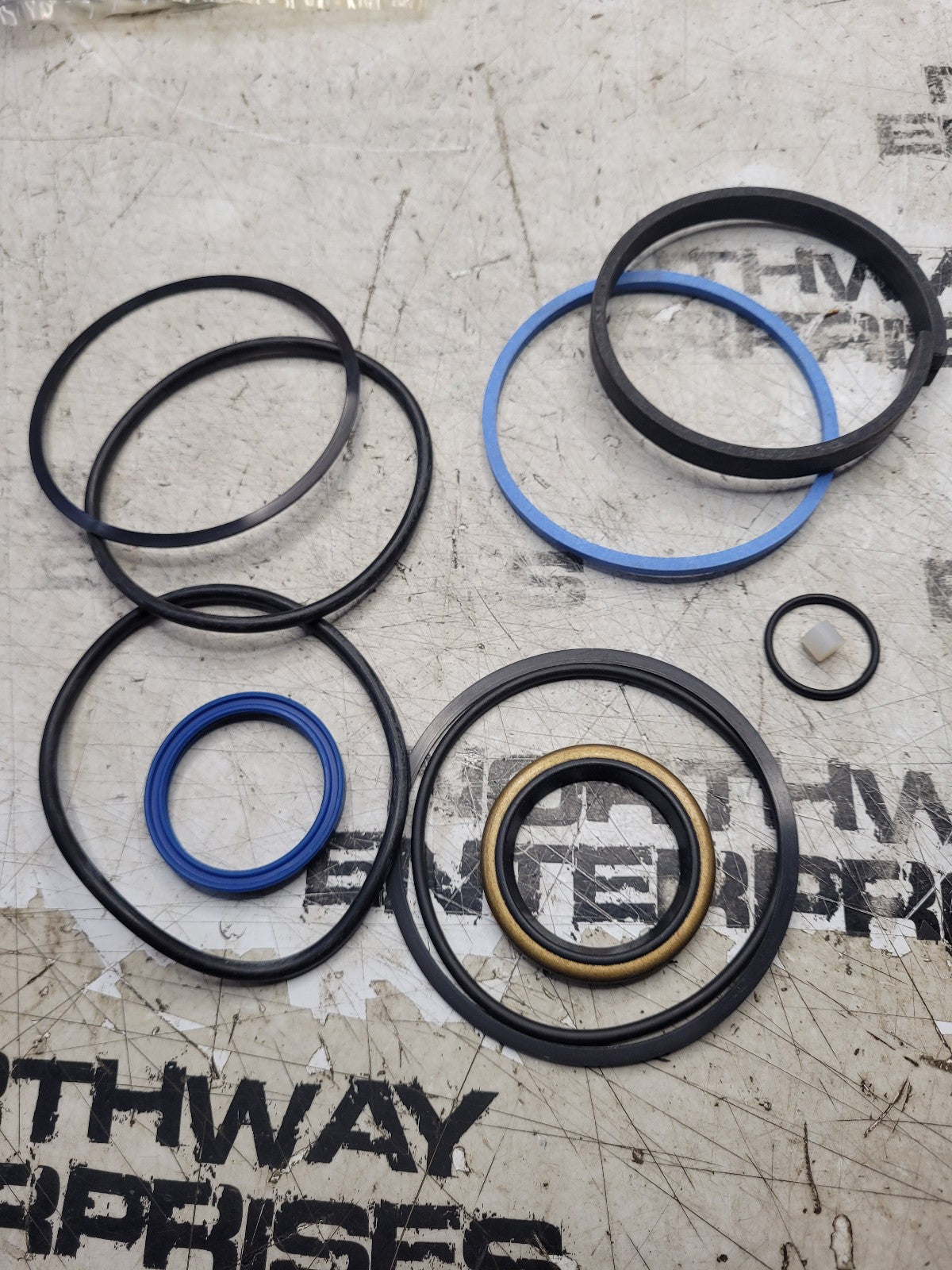700718496 AGCO SEAL KIT
