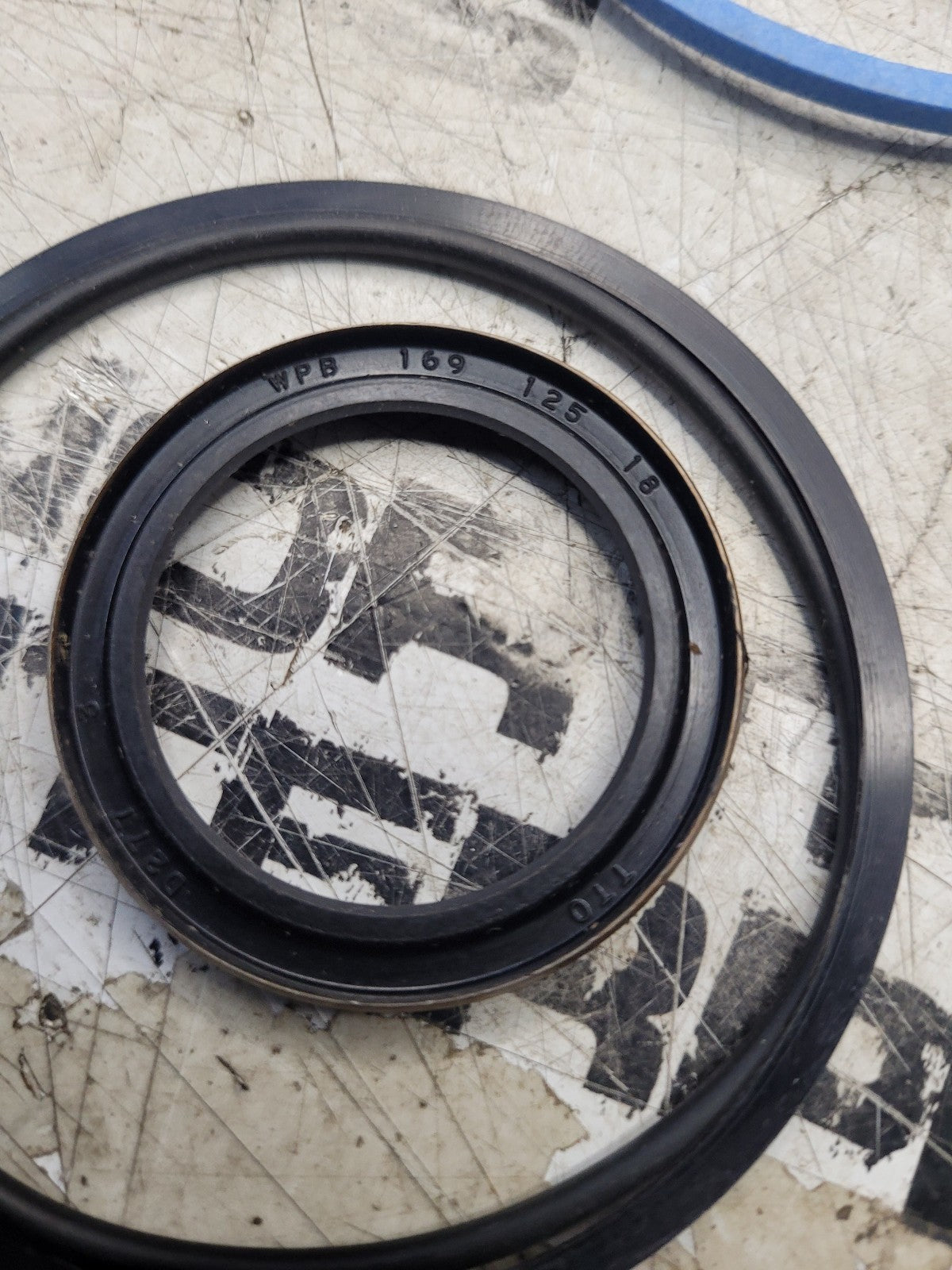 700718496 AGCO SEAL KIT