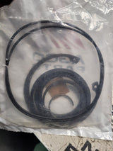7037062 GENUINE AGCO SEAL KIT
