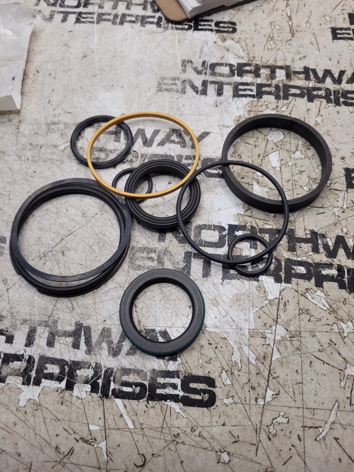 836173M91 GENUINE AGCO SEAL KIT