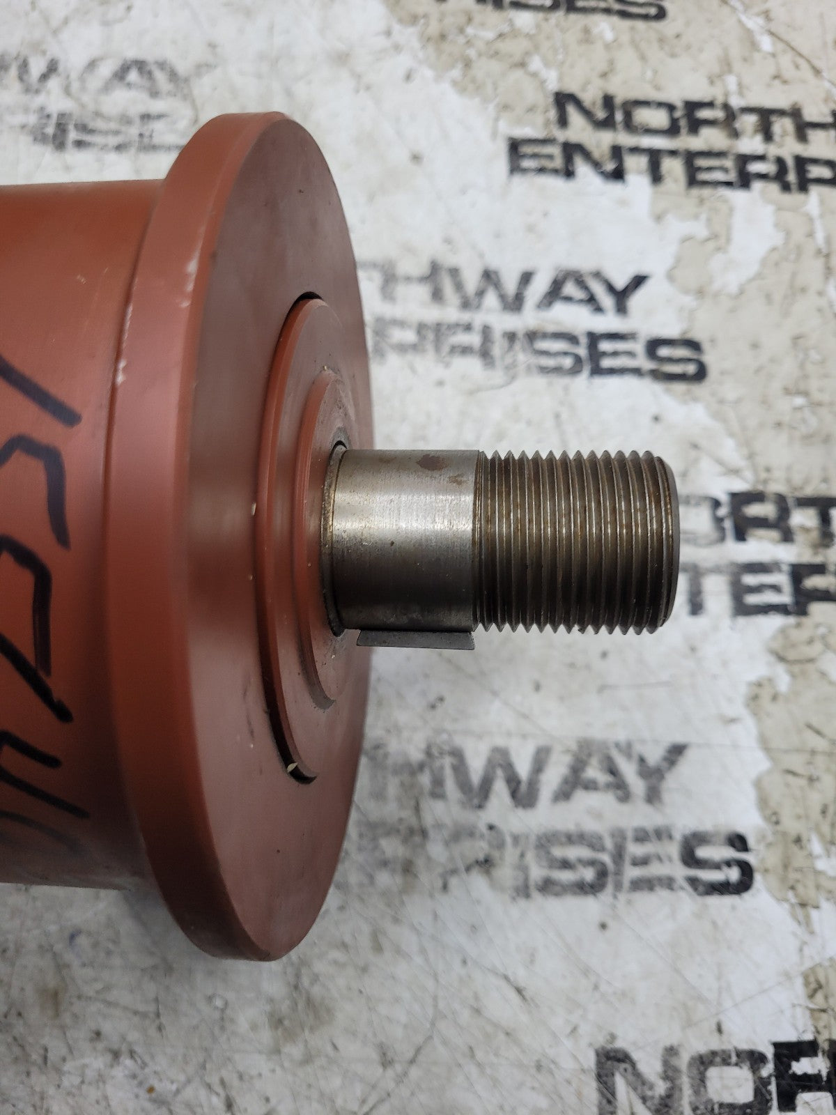 NEW 1556403 ROLLER
