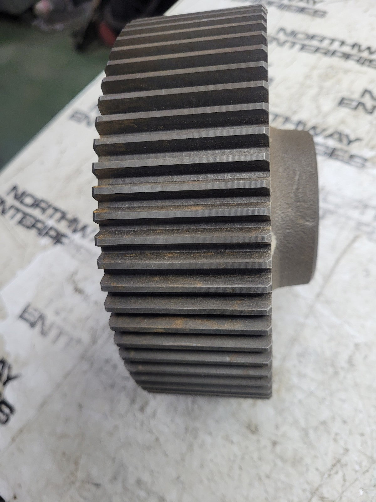 NEW 238459 GEAR DANA SPICER