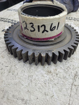 NEW 231261 PLANETARY GEAR CLARK