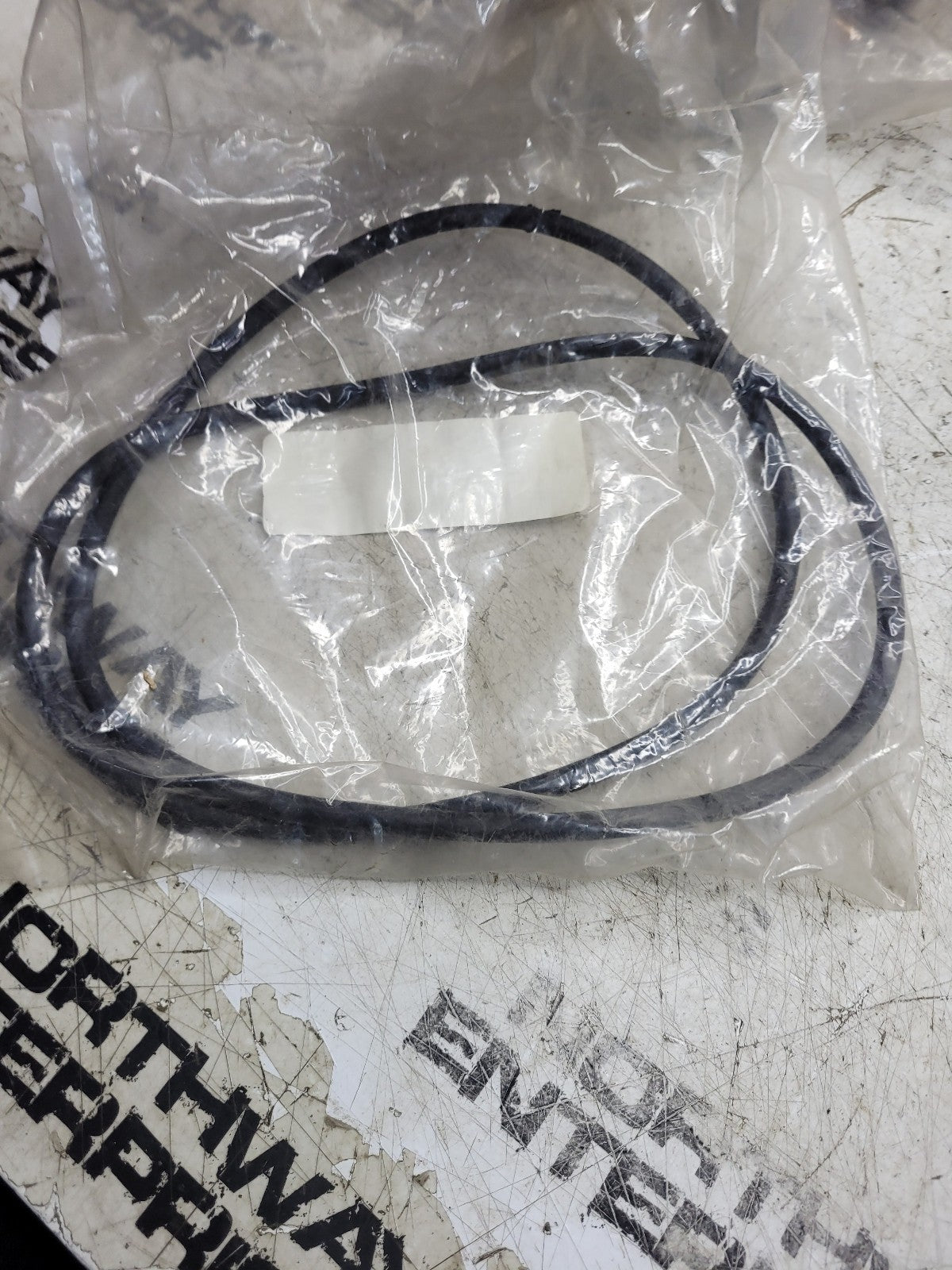 NEW EUCLID ORING E11991563 SEAL 11991563