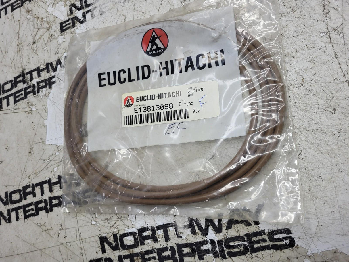 NEW EUCLID E13813098 ORING 13813098