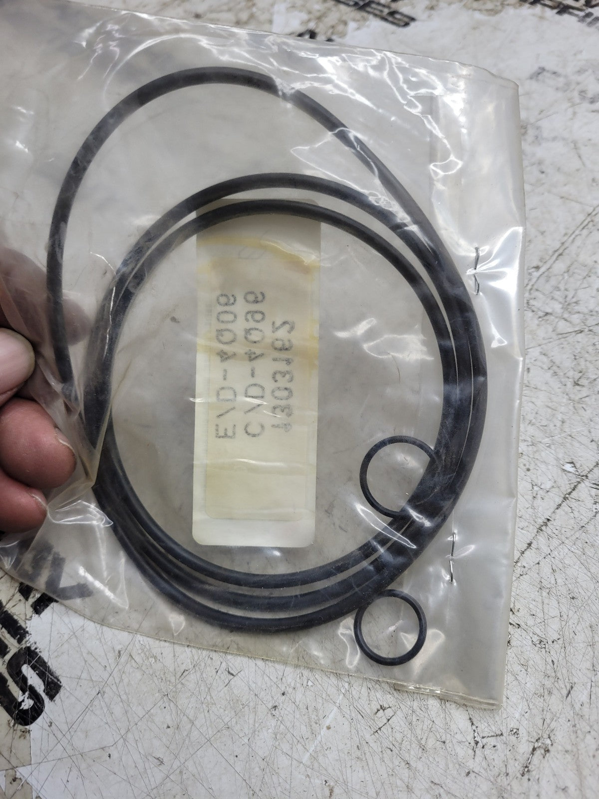 NEW EUCLID SEAL KIT 12968214 ORING KIT E12968214