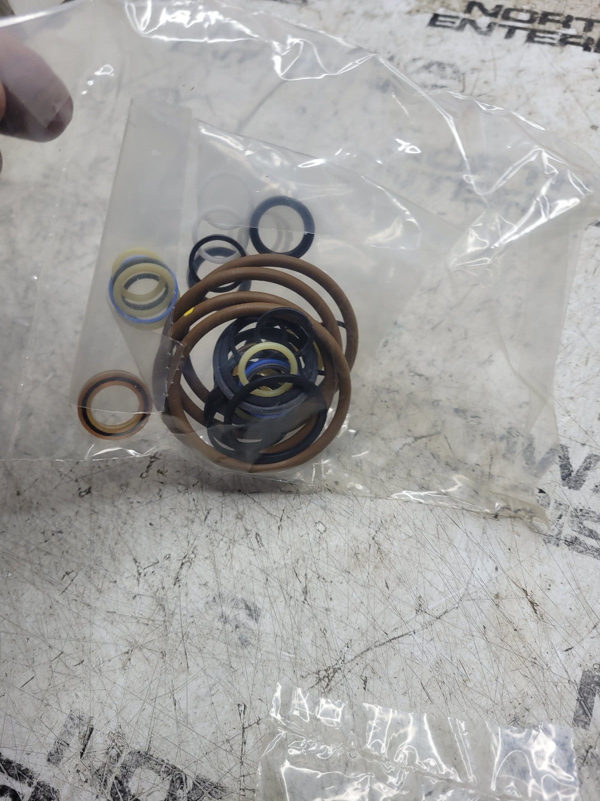 NEW EUCLID SEAL KIT E12594922 12594922