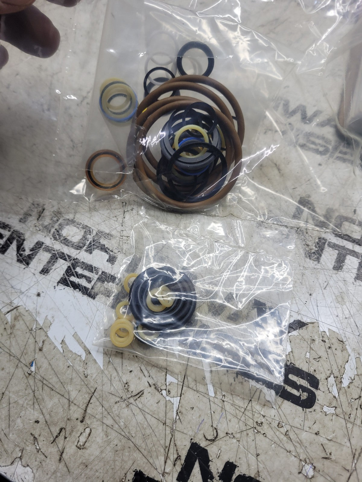 NEW EUCLID SEAL KIT E12594922 12594922