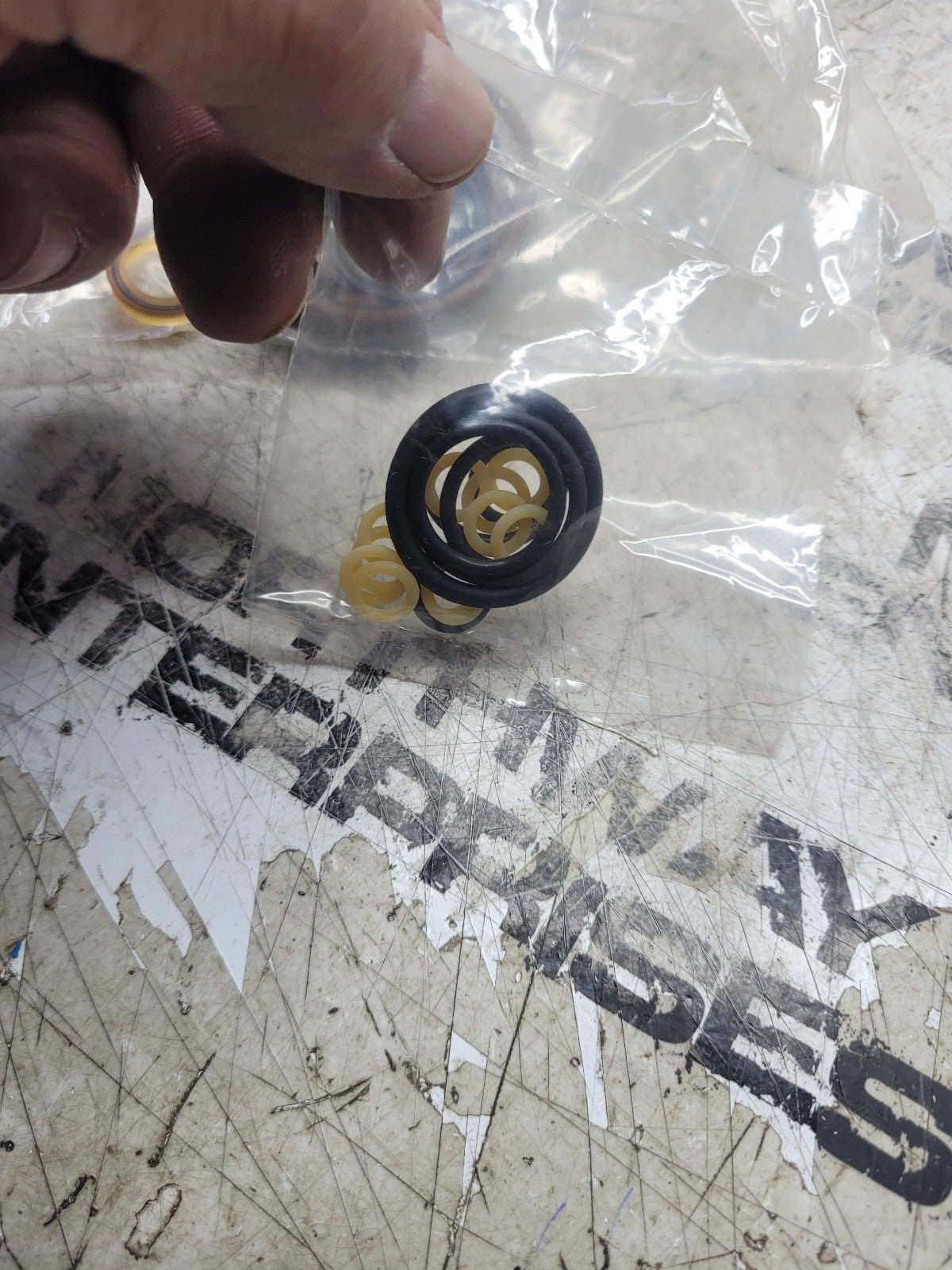 NEW EUCLID SEAL KIT E12594922 12594922