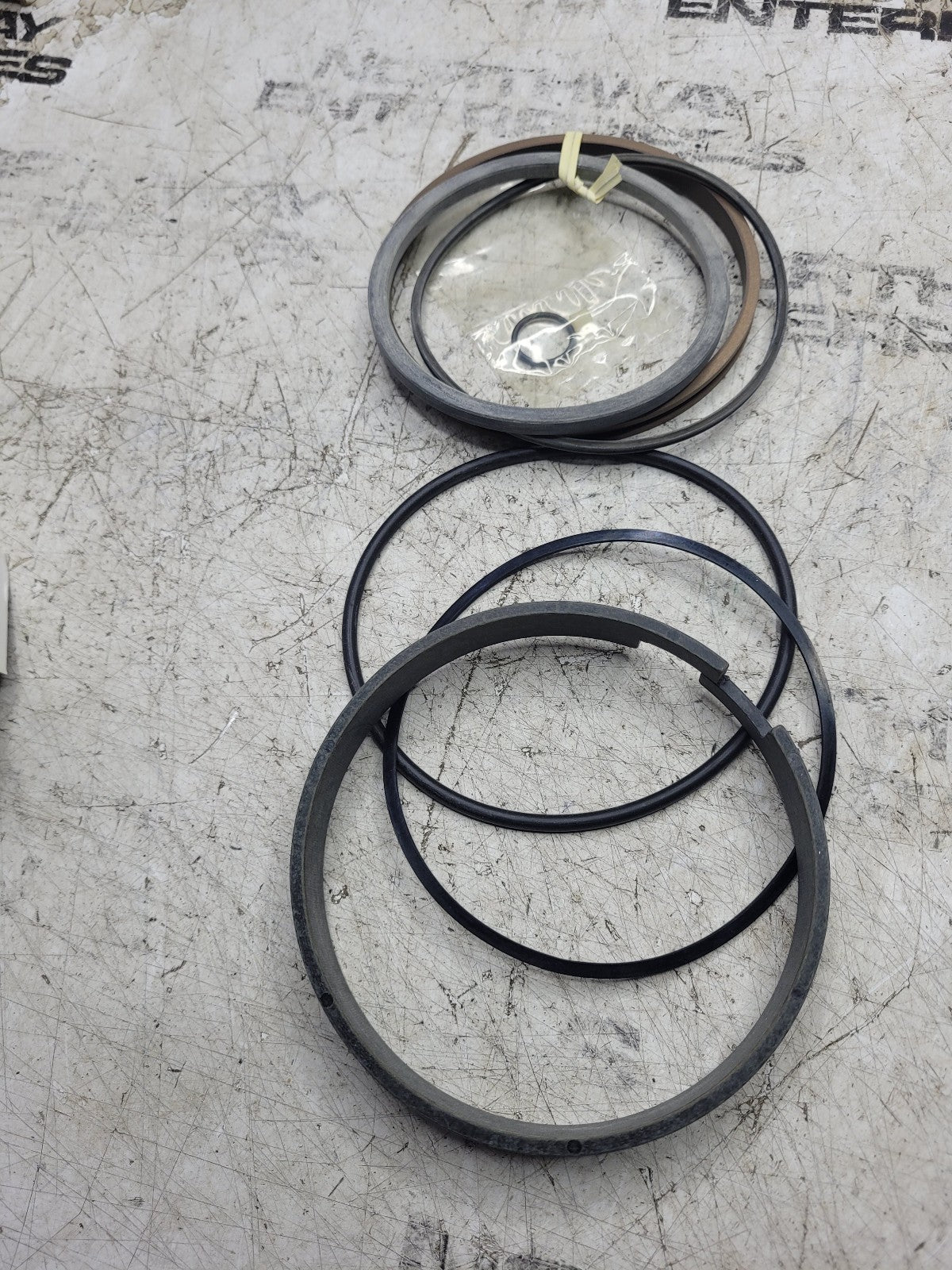 NEW EUCLID SEAL KIT E2556273 2556273
